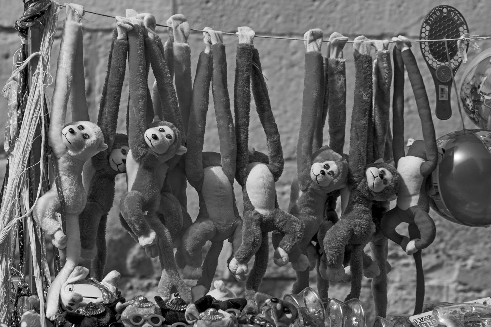 MIRADAS FRIAS / COLD LOOKS